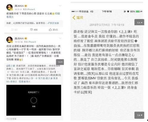 吃瓜群众在线爆料免费观看 娱乐圈吃瓜合集网盘下载,免费观看，一网打尽明星幕后故事